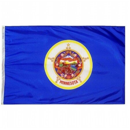 Annin Flagmakers 142760 3 Ft. X 5 Ft. Nyl-Glo Minnesota Flag